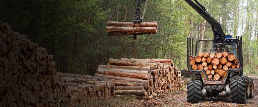 Logging