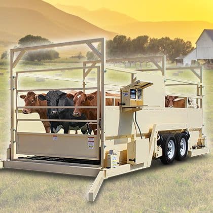 Livestock Scales