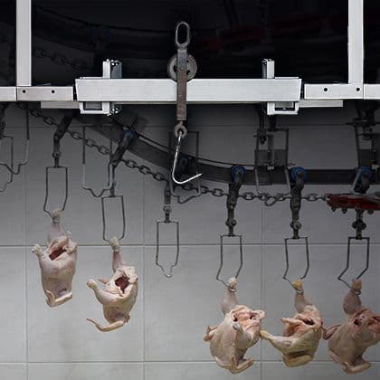 Overhead Track Scales