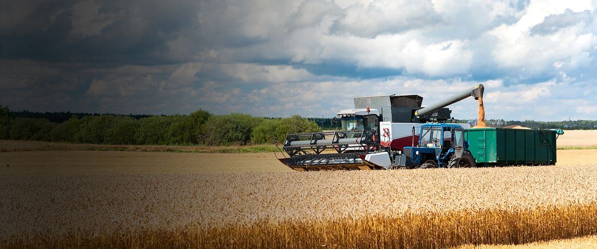 Agriculture