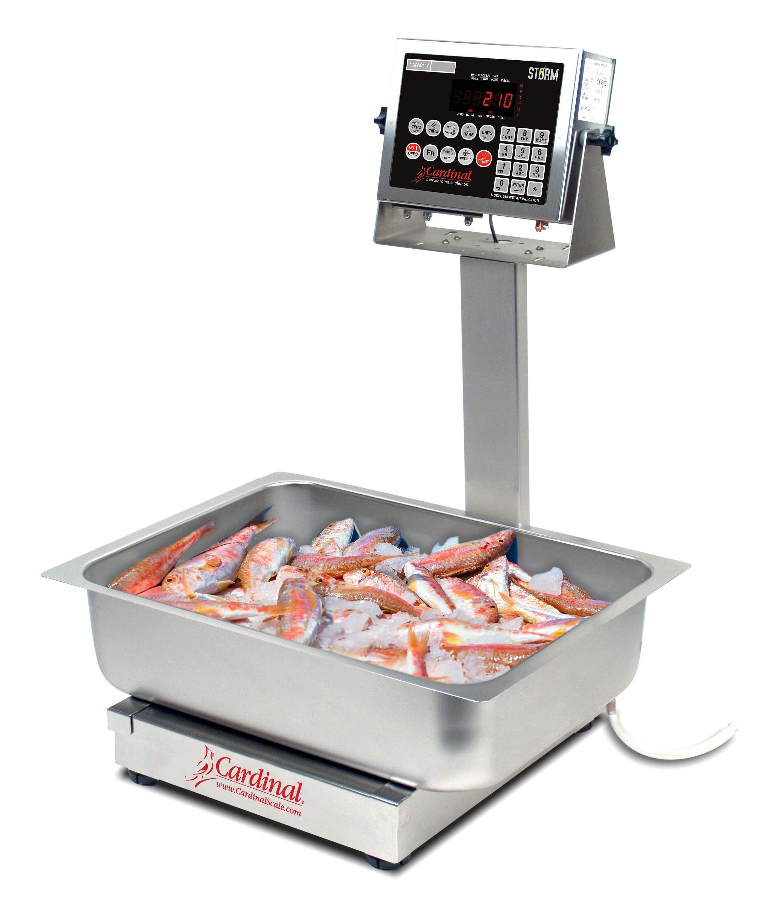 EB60210_FishWeighingApplication_1.jpg