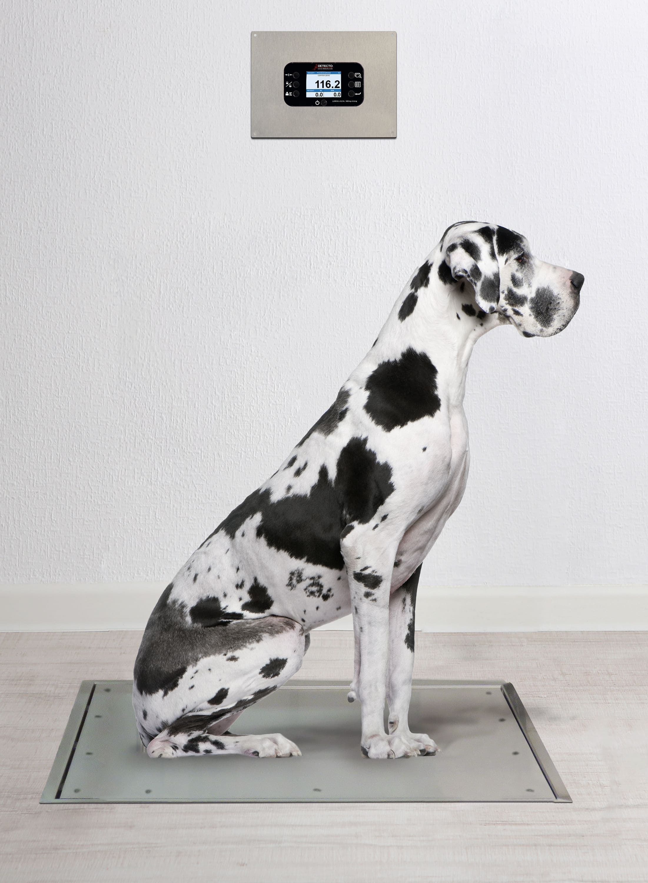 ID-4836S-855RMP_Veterinary-Weighing.jpg