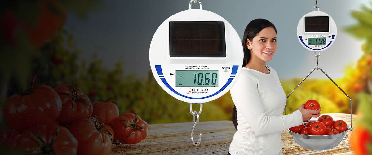 SCS30 Solar Hanging Scale