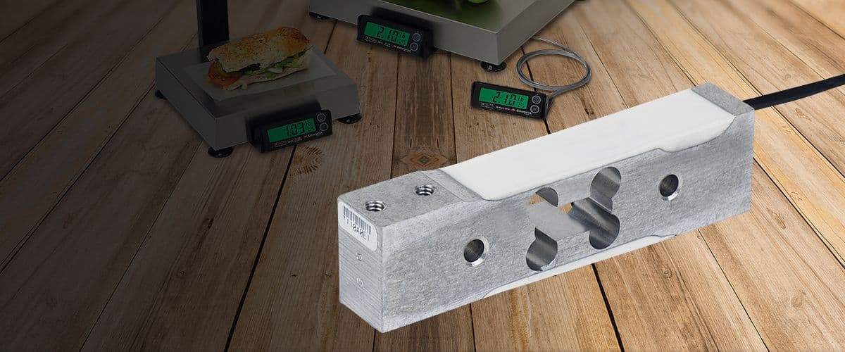 Specialty Light Single Point