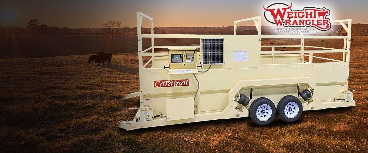 Weight Wrangler Mobile Livestock Scales